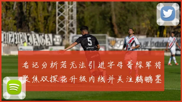 名记分析若无法引进字母哥绿军将聚焦双探花升级内线并关注鹈鹕墨菲