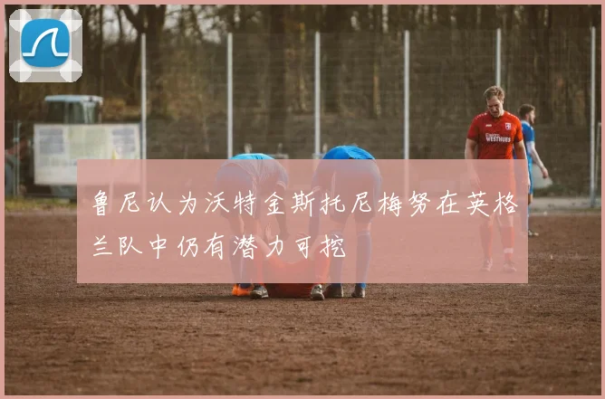 鲁尼认为沃特金斯托尼梅努在英格兰队中仍有潜力可挖