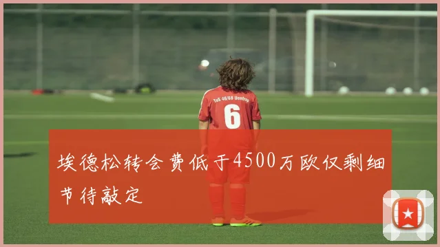 埃德松转会费低于4500万欧仅剩细节待敲定